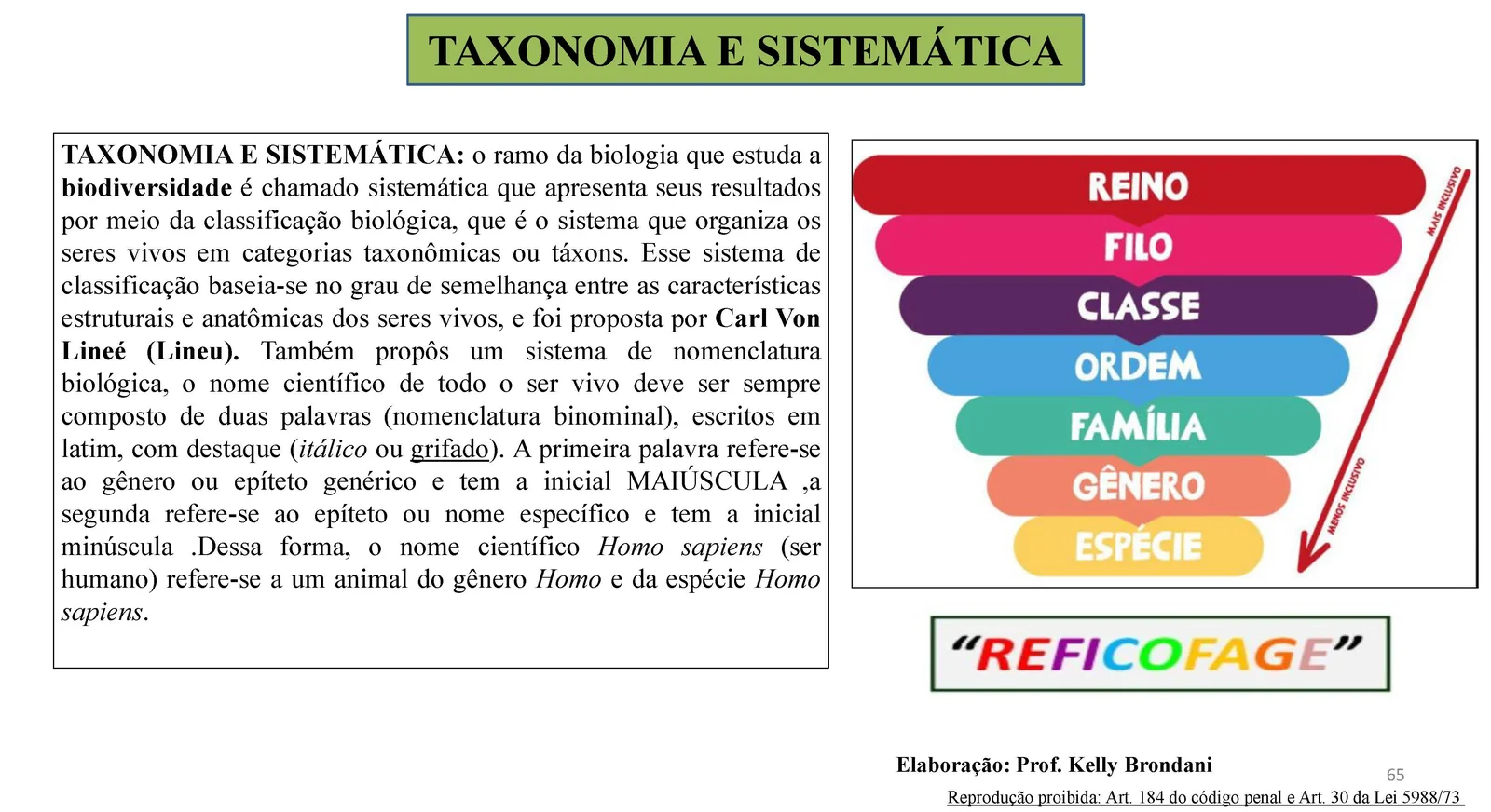Página 65 — Taxonomia e Sistemática: classificação biológica de Lineu e nomenclatura binomial, com a hierarquia Reino, Filo, Classe, Ordem, Família, Gênero e Espécie (REFICOFAGE)